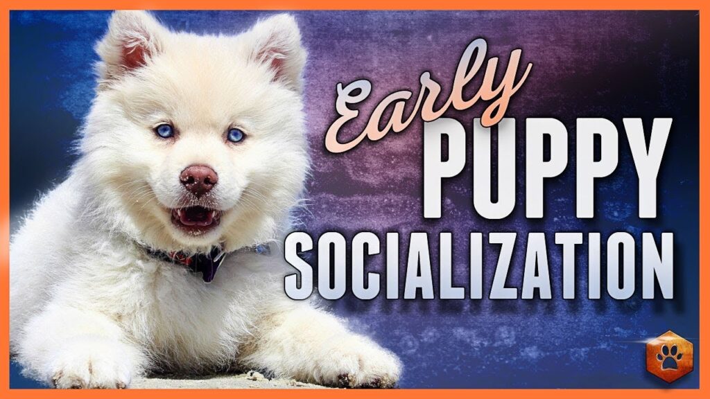 Early Socialization and Bite Control